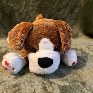 valentine’s day pup